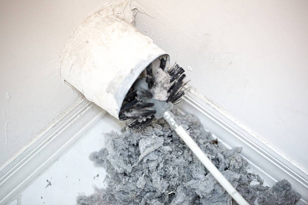 Best Mold and Mildew Removal from Ducts in Barnhart, MO